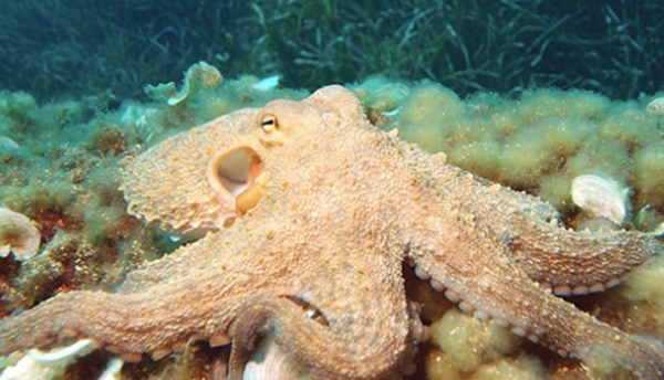 99%人不领会的15件事务,瞅完后你黄昏必定睡不着