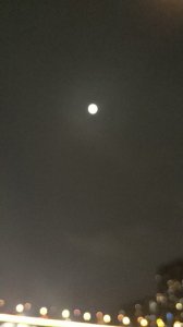 ​安之若素冷暖自知是啥意思_拼音释义