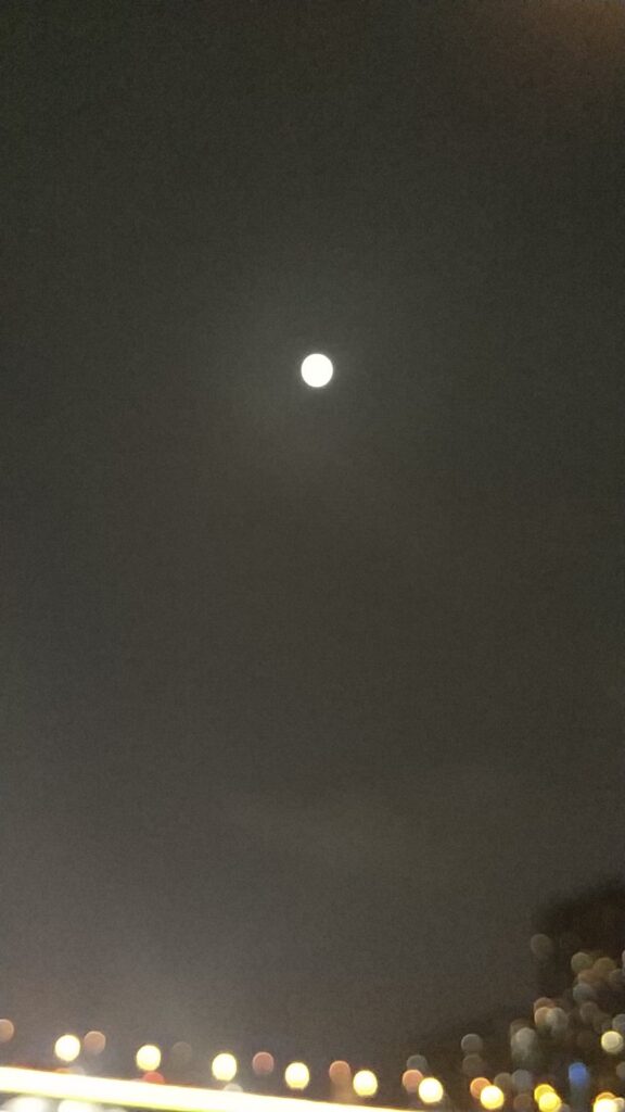 安之若素冷暖自知是啥意思_拼音释义