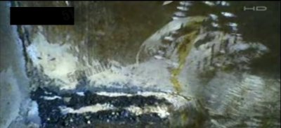 ​狐仙终归是没有是实在存留?狐狸不妨建炼成精吗?