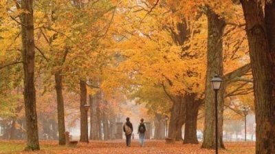 ​寰球十所最美大学！中国最美大学仅清华大学上榜