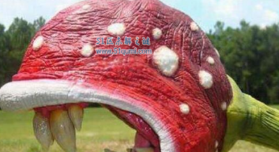 ​世界上最恐惧的食人花成长在何处？食人花本来并没有食人