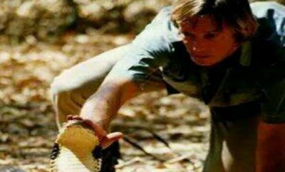 ​世界蛇王：奥斯汀·斯蒂文斯，与毒蛇相处107天_破记载