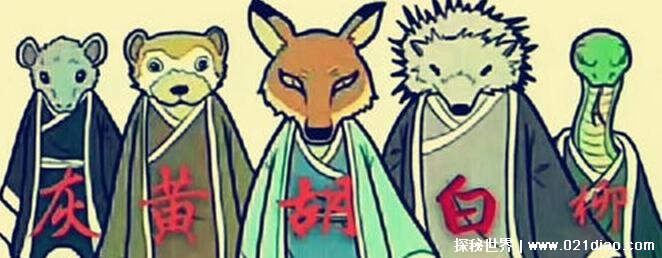 东北五仙是哪五个动物,东北五仙指的是什么