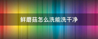 ​蘑菇怎么洗才能洗得干净又快（蘑菇要怎么洗才干净）