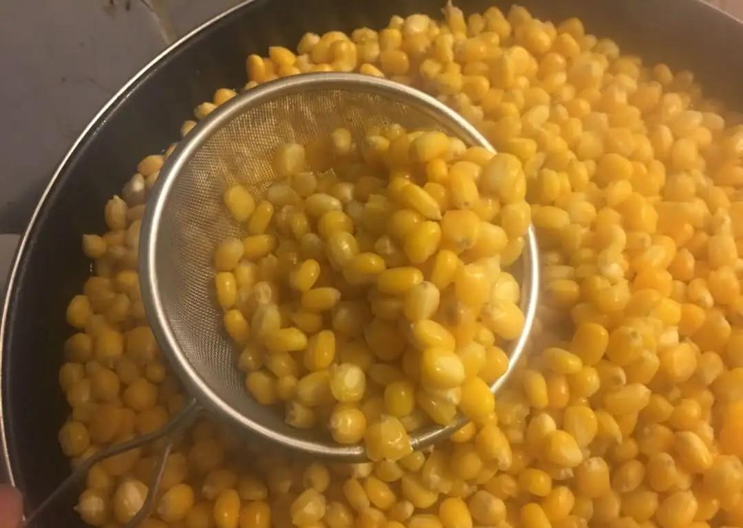 钓鲤鱼用什么饵料最好，鲤鱼的克星饵料 