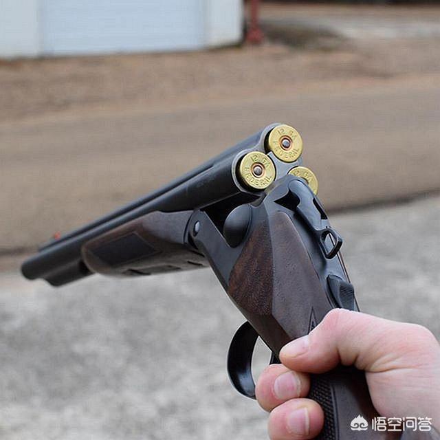 一般猎枪是什么（浅谈猎枪文化）(25)