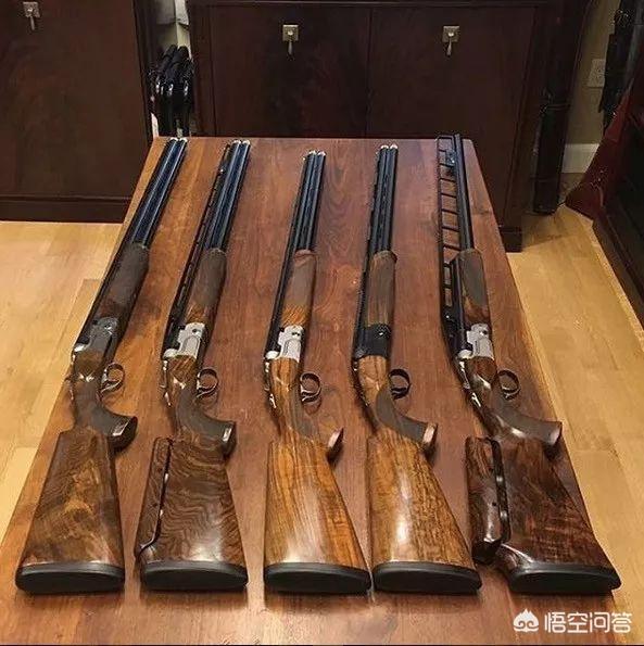 一般猎枪是什么（浅谈猎枪文化）(28)