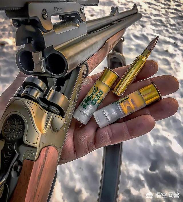 一般猎枪是什么（浅谈猎枪文化）(24)