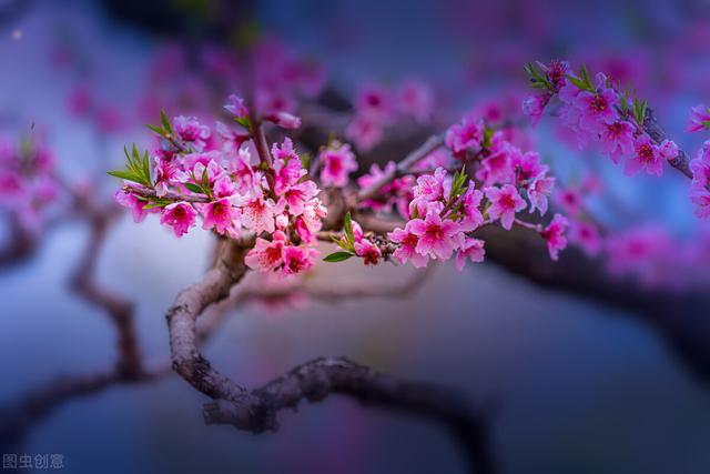 秦始皇的几个妻子生了几个儿子（秦始皇在位期间到底有多少妃子陪伴）(9)