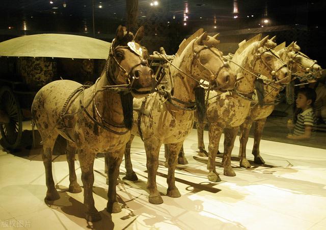 秦始皇的几个妻子生了几个儿子（秦始皇在位期间到底有多少妃子陪伴）(16)