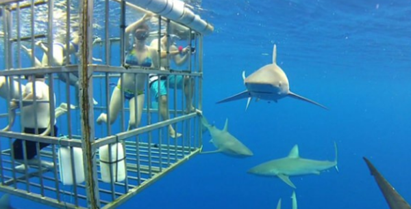 余生佳长你最健忘,清点十大最有创意的匹配场所