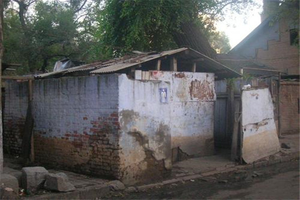 农村厕所太呛怎么处理 可以用白醋柠檬片等进行处理