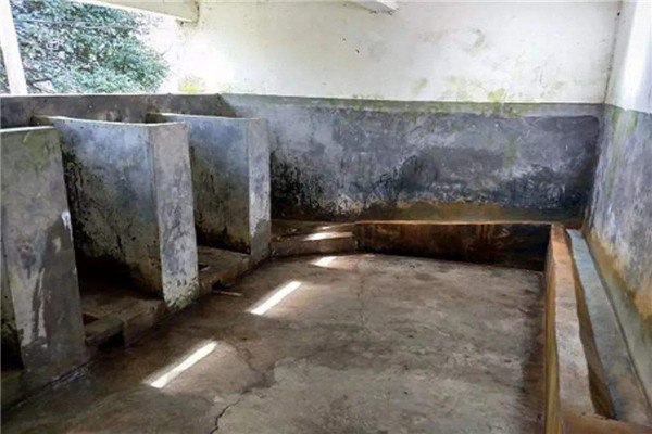 农村厕所太呛怎么处理 可以用白醋柠檬片等进行处理