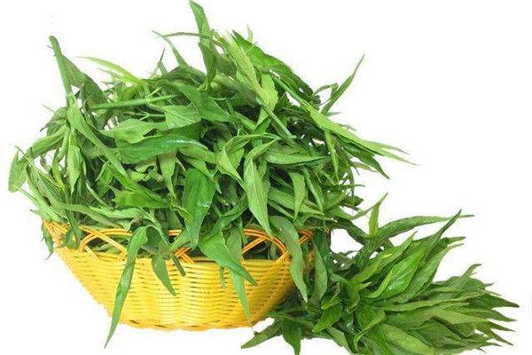 鳄嘴花哪些人不能吃 高血压的人可以吃鳄嘴花吗