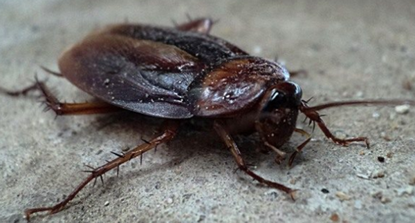 你被撤职了!10个被免职的奇葩缘由