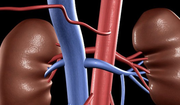 乌市器官交易太恐惧了!闭于器官贩运的12恐惧究竟