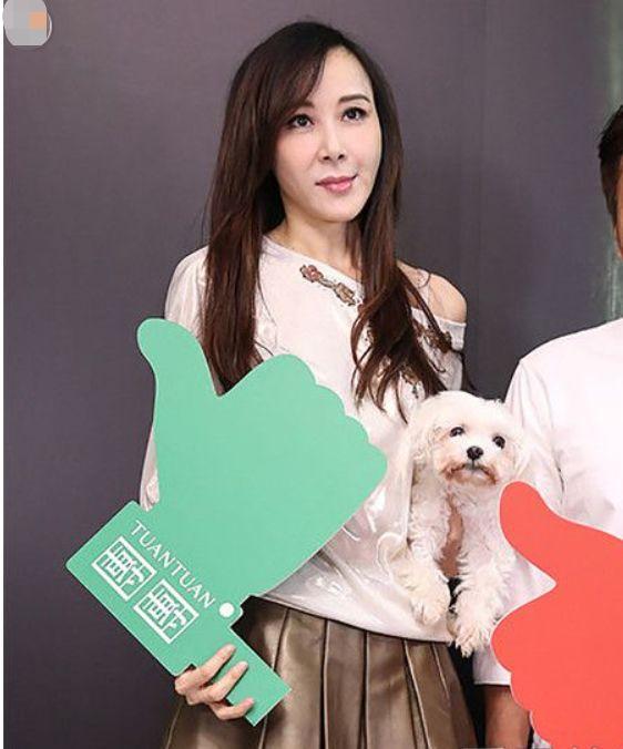 王贝整容失败的原因(被整容坑苦的五位女星)(4)