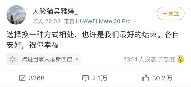 王栎鑫吴雅婷离婚原因孩子归谁（王栎鑫和吴雅婷离婚）(3)