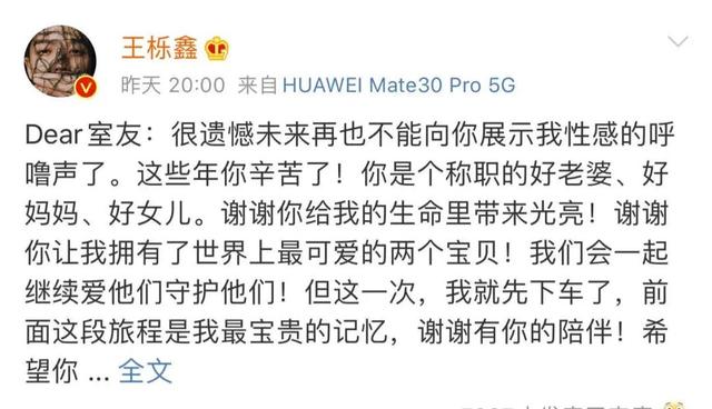 王栎鑫吴雅婷离婚原因孩子归谁（王栎鑫和吴雅婷离婚）(2)