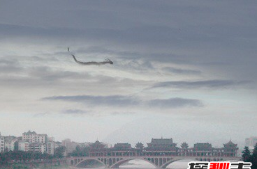 世界上有人拍到龙王