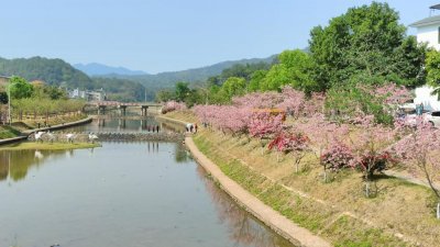 ​西阳是哪个省的城市