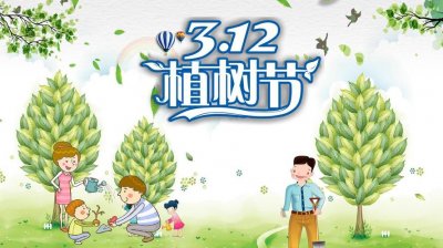 ​312是什么日子（312植树节的来历）