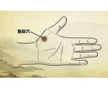 ​鱼际的神奇功效与作用(按摩小鱼际的神奇功效)