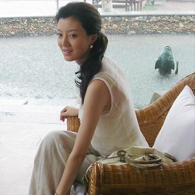 车晓与李兆会怎么好的（车晓与山西富豪李兆会离婚的内幕）(11)