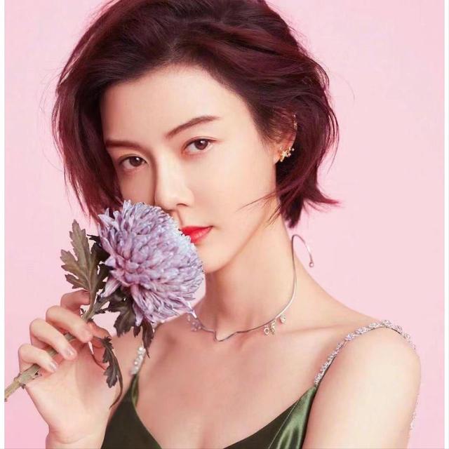 车晓与李兆会怎么好的（车晓与山西富豪李兆会离婚的内幕）(17)