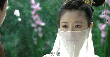 林心如个人资料和简介(曾被全网黑的林心如)(17)