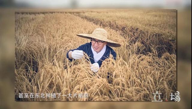 现在周杰和林心如关系(林心如一起爆红)(22)