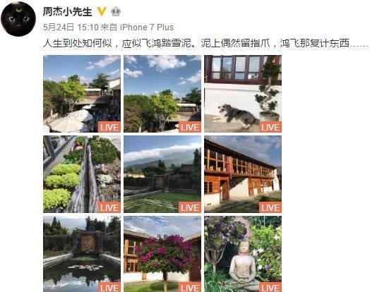 现在周杰和林心如关系(林心如一起爆红)(20)