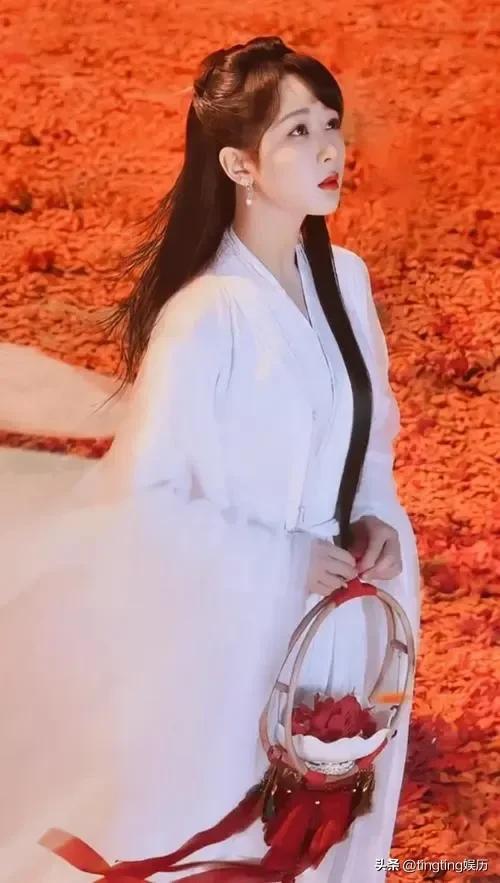 杨紫是从几岁开始当演员的(从童星蜕变成一线女明星的星路历程)(21)