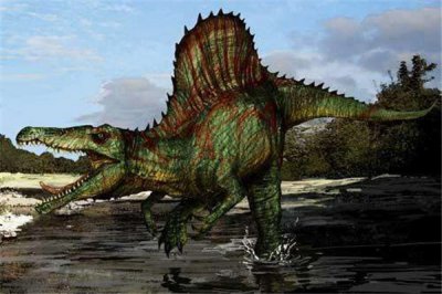 ​棘龙：一种布满着神奇颜色的恐龙（人们领会许多）