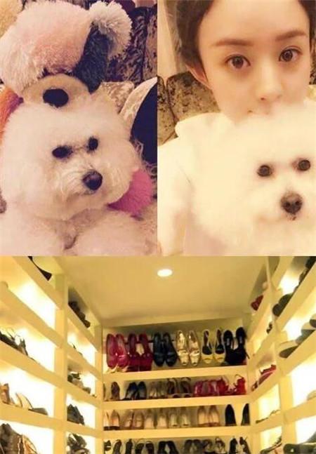 冯绍峰个人资料家境（冯绍峰显赫家世父母曝光）(31)