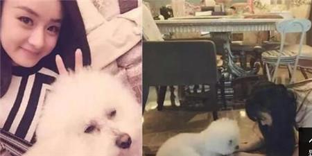 冯绍峰个人资料家境（冯绍峰显赫家世父母曝光）(29)