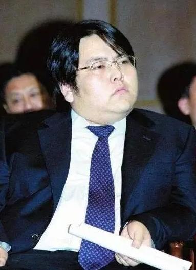 山西首富李兆会败光家产120亿(山西首富李兆会与车晓的迷之婚姻)(16)