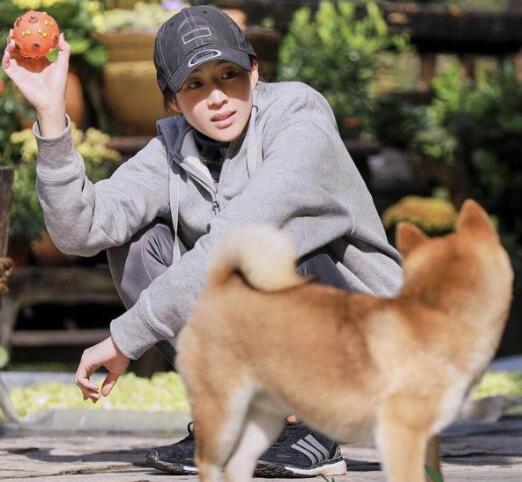 向往的生活张钧甯哪一期