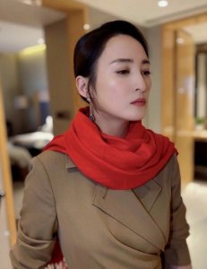 ​蒋勤勤的老公陈建斌个人资料（蒋勤勤当年有多美）