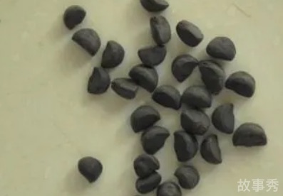 网络图片(侵删)