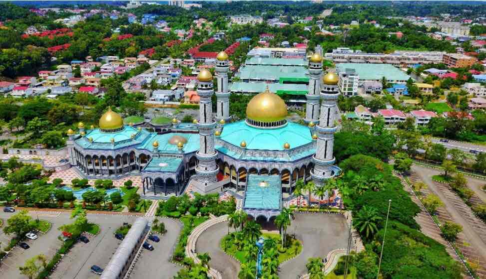 网络图片(侵删)