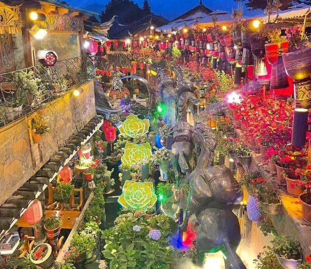 网络图片(侵删)