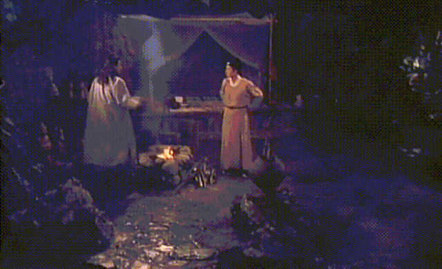 李翰祥电影1991（李翰祥被内地封杀前）(15)