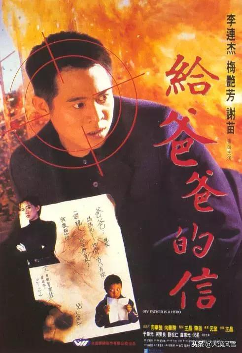 李连杰十部巅峰电影（25部李连杰经典高分电影）(6)