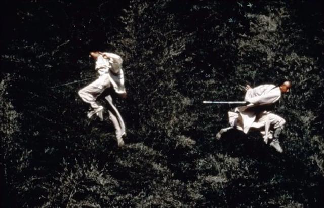 李连杰十部老武打电影（豆瓣排名前十的武侠片）(13)