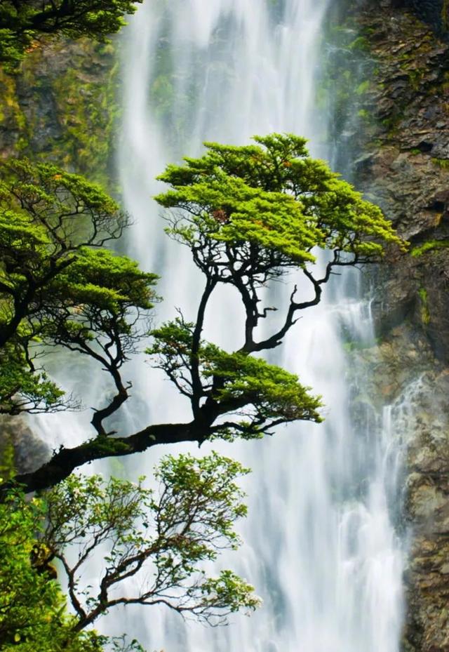 李易峰陈伟霆的电视剧有哪些（推荐十部人气超高待播剧你最期待哪部呢）(1)