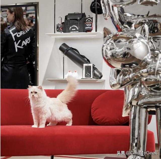 卡尔拉格斐为什么会被尊称老佛爷(拉格斐逝世三周年)(11)