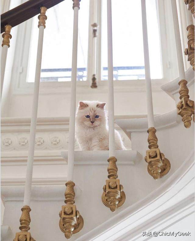 卡尔拉格斐为什么会被尊称老佛爷(拉格斐逝世三周年)(2)