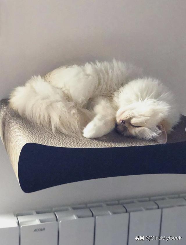 卡尔拉格斐为什么会被尊称老佛爷(拉格斐逝世三周年)(7)